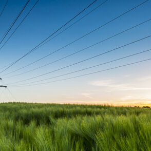 Stadtwerke Ulm/Neu-Ulm Netze Smart Grids Projekt "Smart Grids" der Stadtwerke Ulm/Neu-Ulm Netze und der Technischen Hochschule Ulm