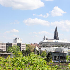 Stadtwerke Ulm/Neu-Ulm Netze Stadtwerke Ulm/Neu-Ulm Netze